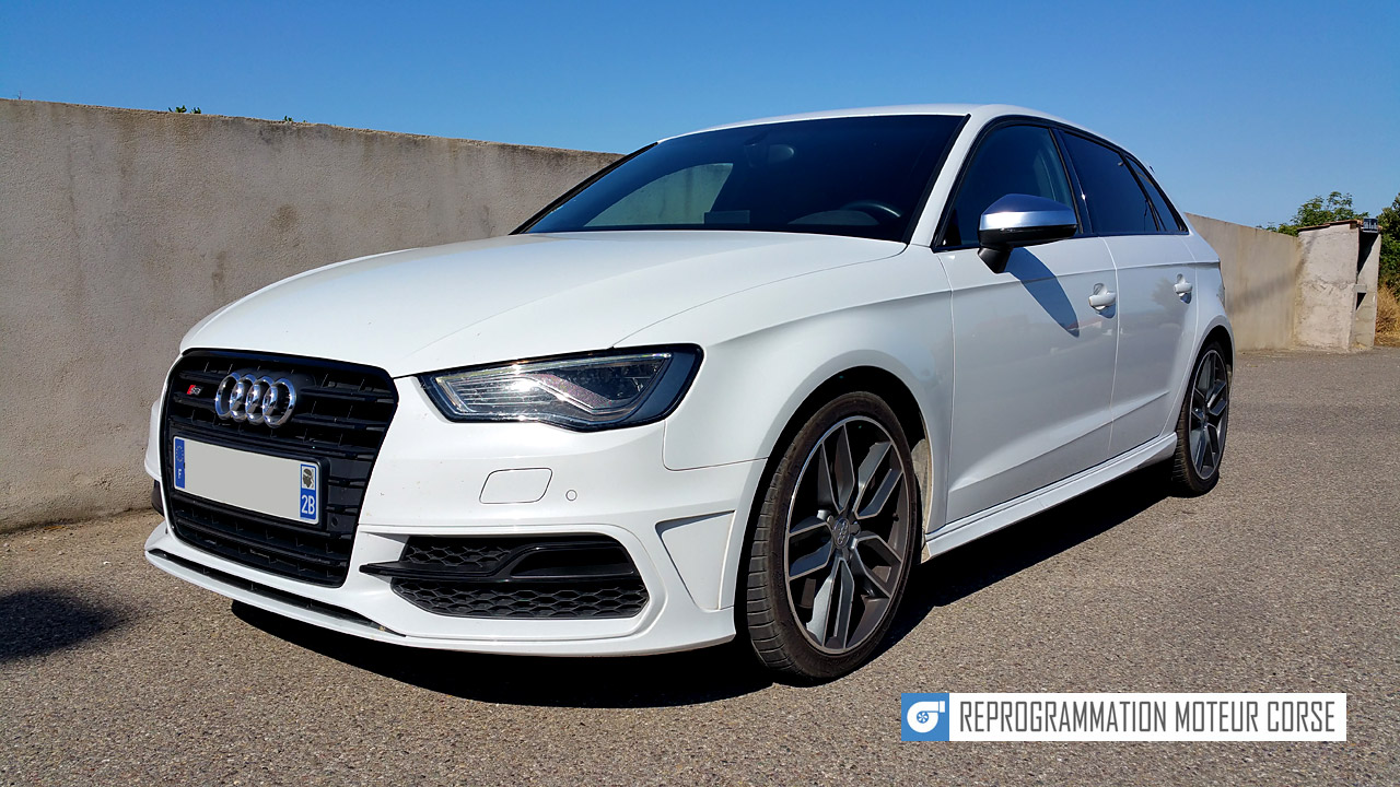 Audi S3 8V 2.0 TFSI 300cv